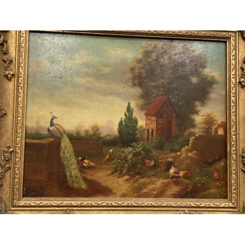 391 - 3 ornate gilt framed signed Victor Baird (1857-1924) poultry scene oils on boards, one measures 35x4... 