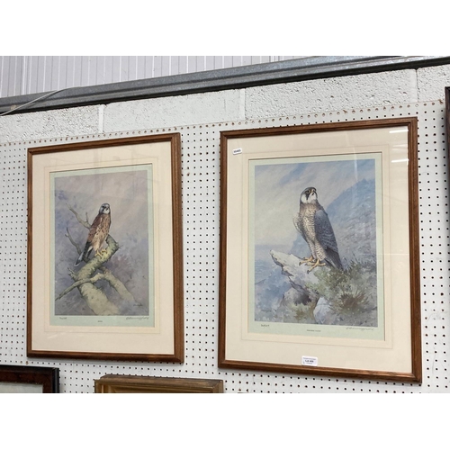 495 - Two pencil signed limited edition prints by Gordon Beningfield 'Peregrine Falcon 268/475 & Kestrel 3... 