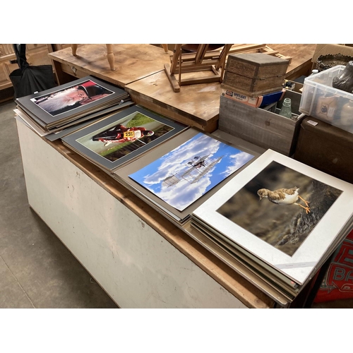 629 - Large quantity of mounted enlarged colour photographs 41 x 51cm including sport, aircraft, nature, p... 