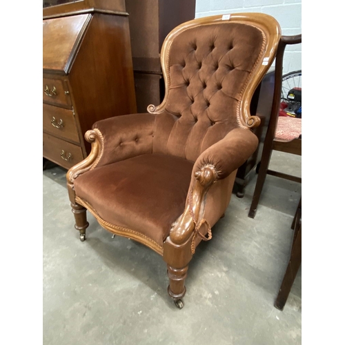 19 - Victorian walnut framed, button back armchair 99H 74W
