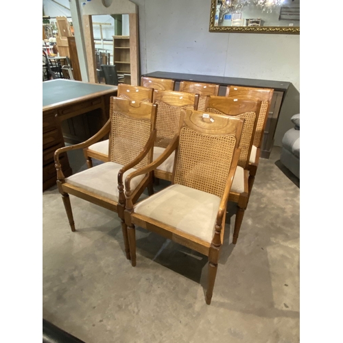 124 - 8 John Lewis 'Hemingway' Melia Ash & Pippy Oak veneer chairs, including 2 carvers 108H 55W 53D