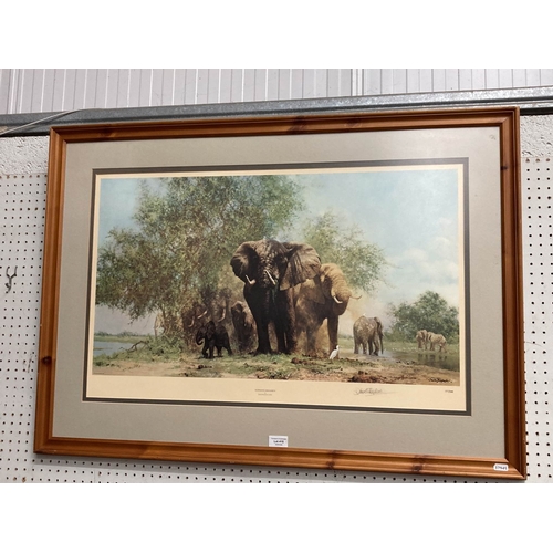 415 - Pine framed pencil signed David Shepherd 'Elephants & Egrets' limited edition 303/1300 print 72x100c... 