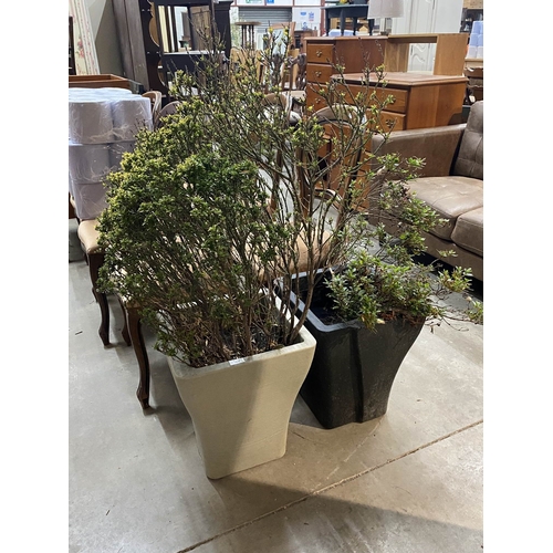 Lot 27        