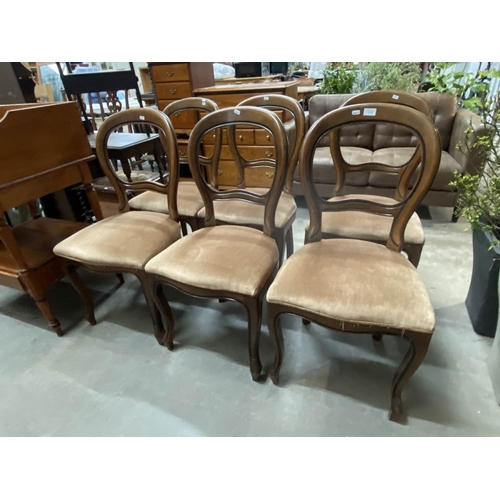 Lot 28        