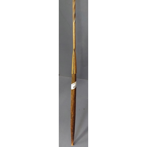 447 - Metal Spear