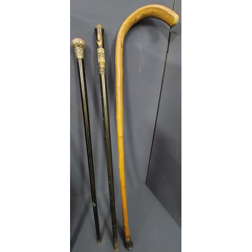 477 - 4 Walking Sticks