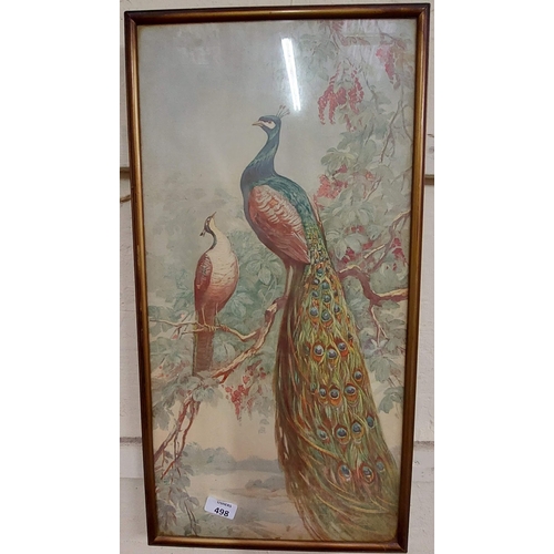 498 - Pair Peacock + Parrot Pictures Gilt Framed