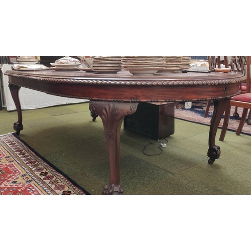 451 - Extending Mahogany Rope-Edge Dining Table Ball + Claw Feet
Size 260cmL x 142cmW