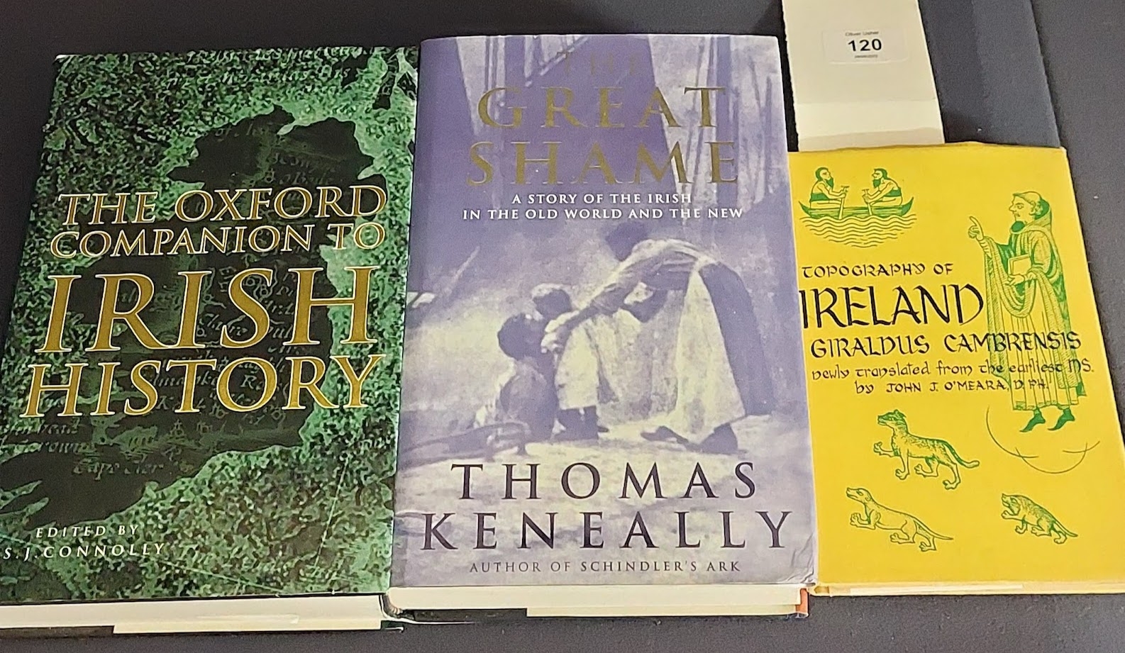 3 Irish Interest Inc "The Great Shame" By Thomas Keneally & "Topography ...