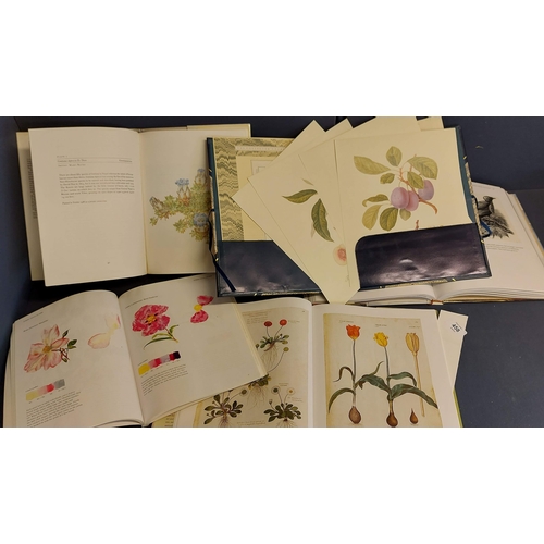 458 - 5 Volumes of Illustrated Botanical Interest