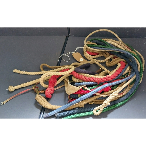 7 - Lot of Coloured Lead Ropes