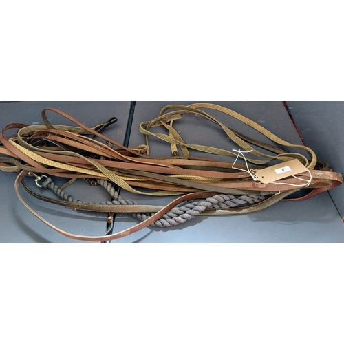 8 - Lot of Leather Lead Ropes