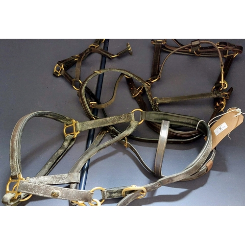 9 - 4 Leather & Brass Head Collars