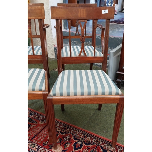 443 - Set of 4 Reeded Leg Satinwood Chairs inc. 2 Carvers.