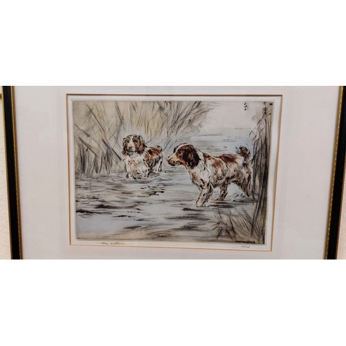 525 - Framed Signed Limited Edition of Hunting Dogs (88/100)