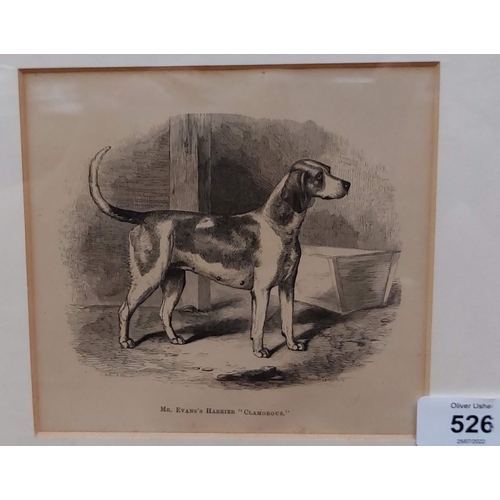 526 - Gilt Framed Print of Dog 