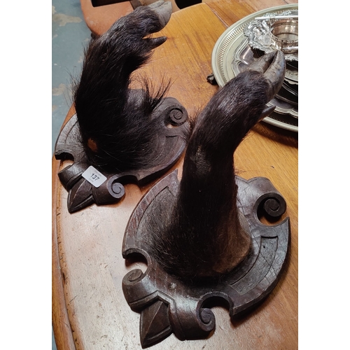 137 - Pair of Mounted Boars Feet Coat Hangers