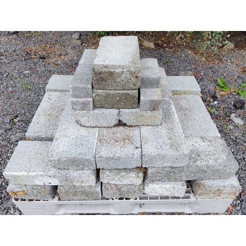 21 - Pallet of 4 Inch Solid Concrete Blocks