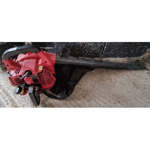 155 - Pro Plus PPS762052 Leaf Blower