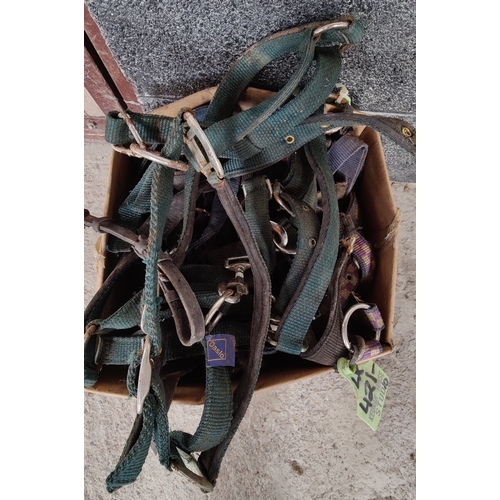 162 - Box of Misc Head Collars / Halters