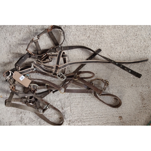 163 - Lot of Head Collars and Bridles