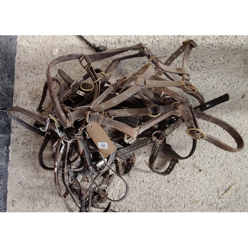 168 - Lot of Head Collars and Bridles