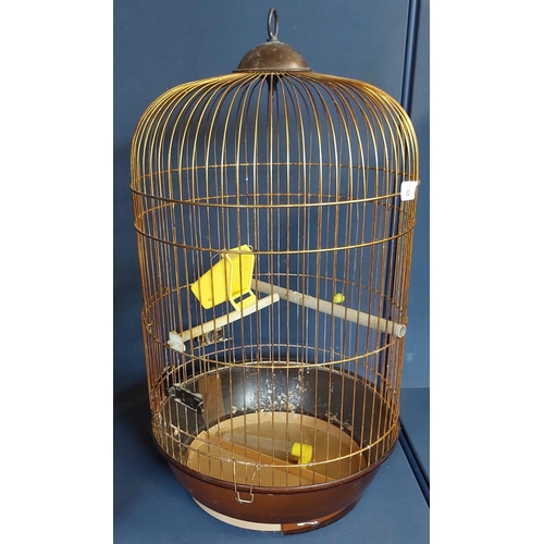 80 - Bird Cage