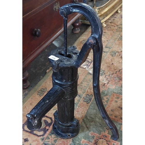 174 - Victorian Cast Iron Table Pump