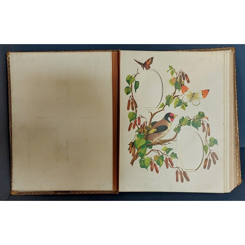 3 - Leather Bound Photo Album with Bird Illustrations