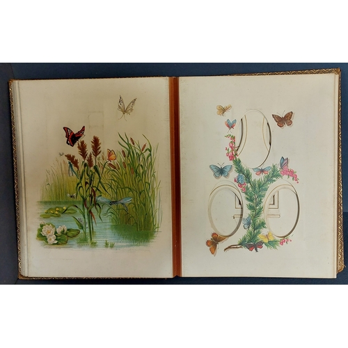 3 - Leather Bound Photo Album with Bird Illustrations