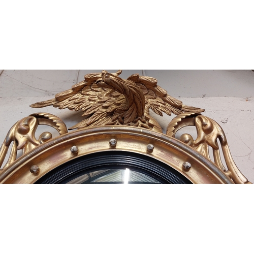 233 - Victorian Highly Carved Gilt Griffin/Eagle Surmounted on Gilt Circular Convex Mirror - C. 66cm W x 1... 