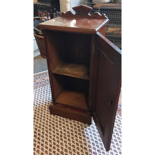 290 - Victorian Mahogany Bedside Locker