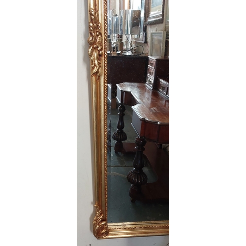 316 - Gilt Narrow Dressing Mirror - C. 49cm W x 177cm H