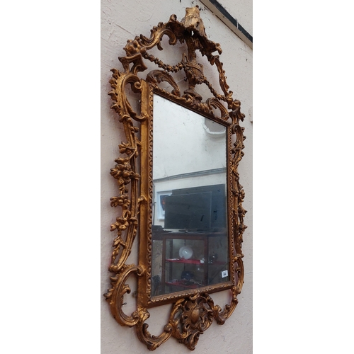 384 - 19th Century Large Gilt Pier Mirror - C. 116cm H x 65cm W