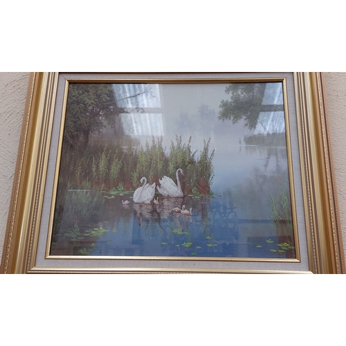 397 - Pair of Gilt Framed Lake Scenes with Swans