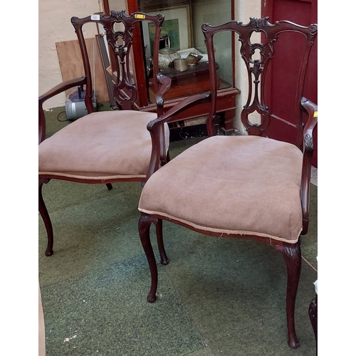 520 - Pair of Mahogany Edwardian Parlour Chairs With Cabriole Arms and Legs