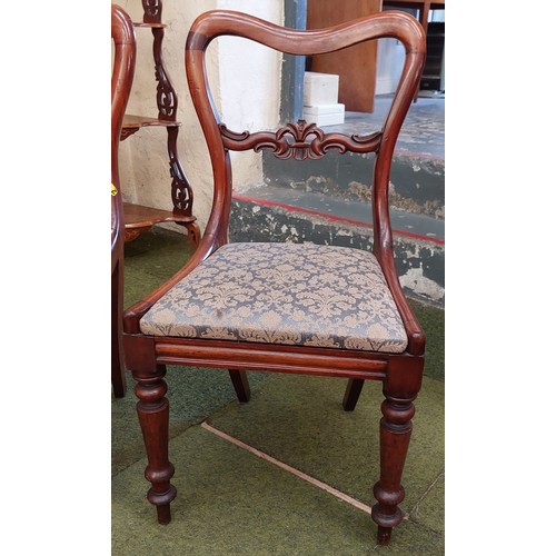 444 - Pair of Victorian Mahogany Occasional Chairs