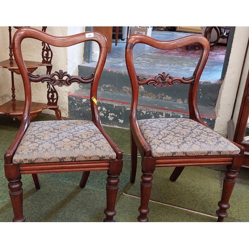 444 - Pair of Victorian Mahogany Occasional Chairs