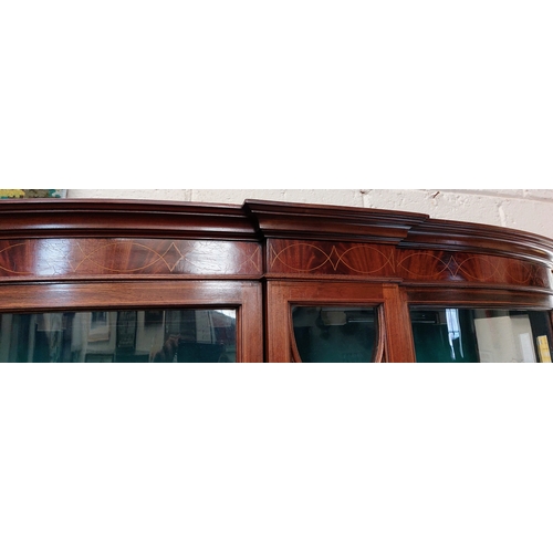 8 - Bow Front Mahogany Inlaid Display Cabinet - C.125cm W x 44cm D x 180cm H