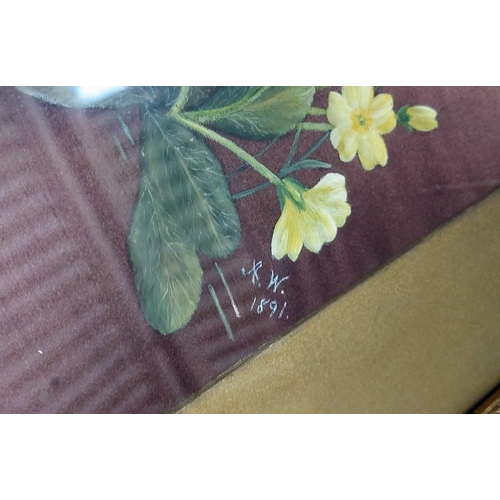 152 - Framed Picture of Primroses on Silk - Initialed AW 1891