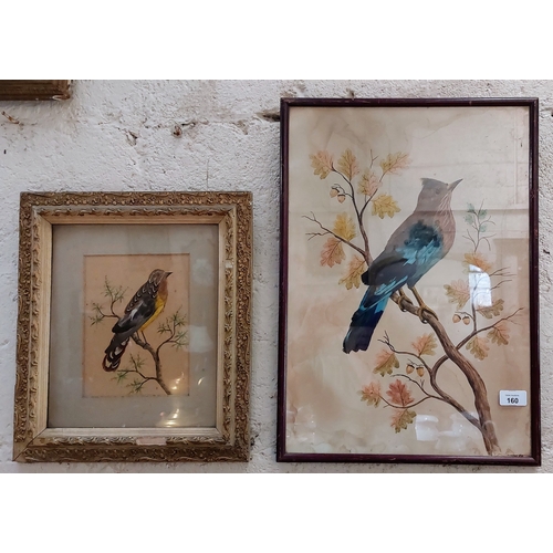 160 - 2 Framed Mixed Media (feather) Bird Pictures