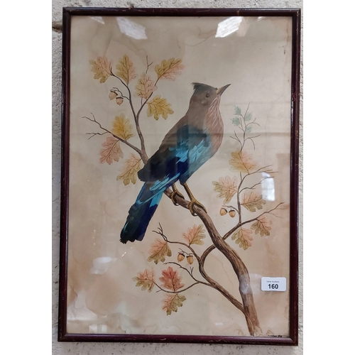 160 - 2 Framed Mixed Media (feather) Bird Pictures