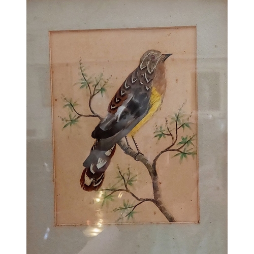 160 - 2 Framed Mixed Media (feather) Bird Pictures