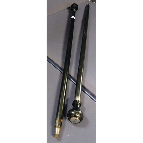 286 - 2 Walking Sticks with Ford and Jaguar Gear Knob Tops