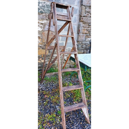 412 - Vintage Wooden Step Ladder - 6 Step