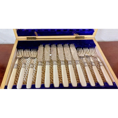 515 - Cased Set of 6 Fish Knives and Forks - Bone Handle with Sheffield Silver Clasp