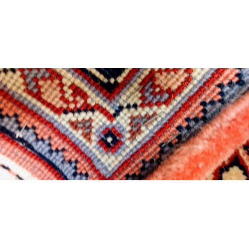 535 - Woolen Hand Knotted Carpet Square - C. 260cm x 155cm