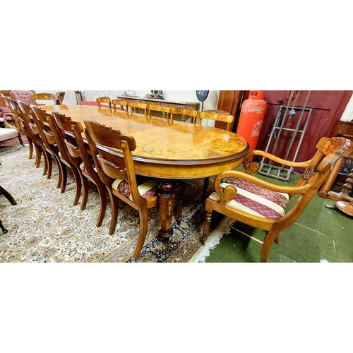 543 - Victorian Revival Handmade Marquetry Burr Walnut Dining Table & 14 Matching Dining Chairs - C.130cm ... 