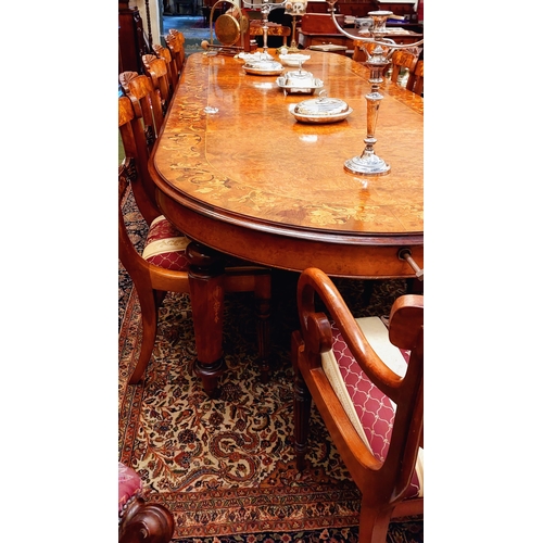 543 - Victorian Revival Handmade Marquetry Burr Walnut Dining Table & 14 Matching Dining Chairs - C.130cm ... 