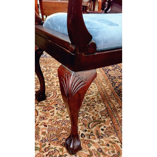 552 - Carved Mahogany Chippendale Style Duet Stool - Upholstered Blue Cotton Velvet Seat with Scroll Ends ... 